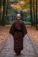 Monk walking on a stone path through autumn forest in tranquil scenery photo
