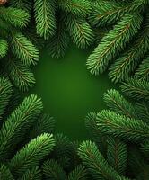 Green pine branches frame a blank space for winter holiday decorations photo