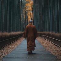 A monk walking calmly through a serene bamboo forest in autumn photo