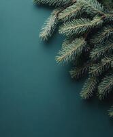 Fir tree branches against a green backdrop for nature-themed decor photo