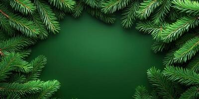 Captivating green fir tree branches framed against a dark backdrop photo
