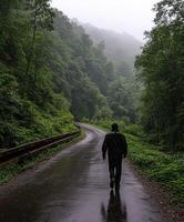 Person walking on a rain-soaked road through a lush green forest photo