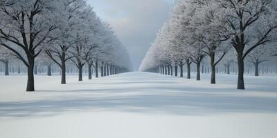 Snow-covered trees line a tranquil winter pathway in a serene landscape photo