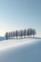 Snow-covered hill with lined trees in winter afternoon sunlight photo