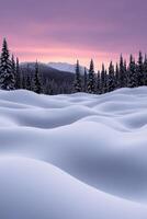 Snow-covered landscape at twilight with pine trees in the distance photo