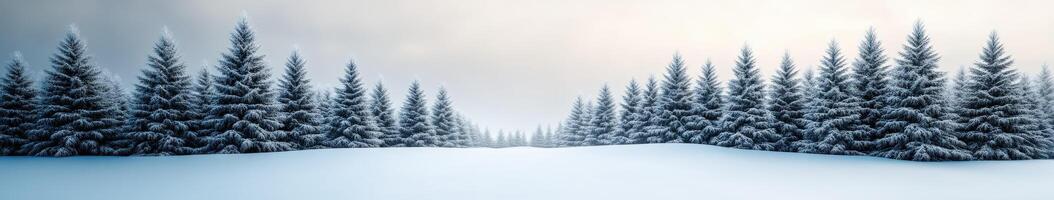 Winter landscape with snow-covered trees and serene atmosphere photo