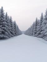 Snow-covered forest path in tranquil winter scenery photo