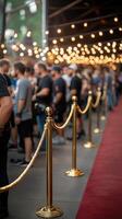 People lined up for event entry under string lights at an evening gathering photo