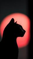 negro gato silueta en contra un brillante rojo puesta de sol antecedentes foto