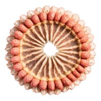 Dried Lychee Chunk Mandala pale tan dried lychee chunks arranged in a precise circular composition png