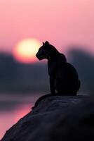 Majestic silhouette of a black panther at sunset near a river photo