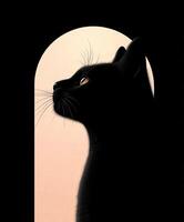 Black cat silhouette looking out a window at sunset time photo