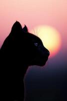 Silhouette of a black cat against a vibrant sunset sky photo