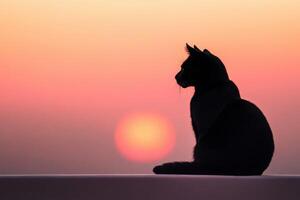 Black cat silhouette at sunset overlooking a tranquil landscape photo
