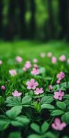 Pink flowers blooming in a lush green meadow during springtime photo