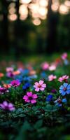 Colorful wildflowers bloom in a serene forest setting during sunset photo