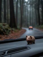Pig figurine rests on dashboard while driving through misty forest photo