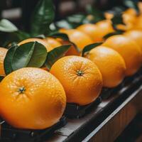 Freshly harvested oranges displayed at a market in bright sunlight photo