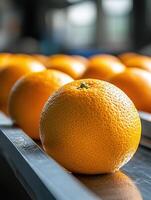 Fresh oranges being sorted on a conveyor belt in a packing facility photo