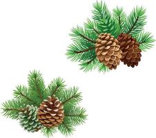 Pine cones hanging from evergreen branches creating festive corner decorations vector