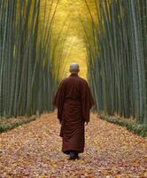 A monk walking through a serene bamboo forest during autumn photo