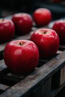 Fresh red apples lined up on wooden crates in a market setting photo