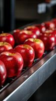 Fresh red apples lined up in a display at a local market in autumn photo