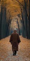A monk walking through a serene forest in autumn photo