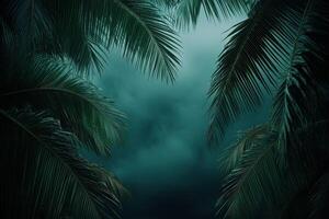 Dark clouds and stormy skies through palm trees before hurricane strikes photo