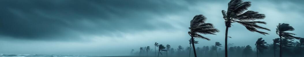 Strong winds and dark clouds from a hurricane approaching the coast photo