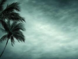 Hurricane winds sway palm trees in a stormy sky at dusk photo