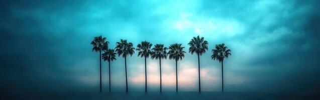 Hurricane winds sway palm trees at dusk in coastal region photo