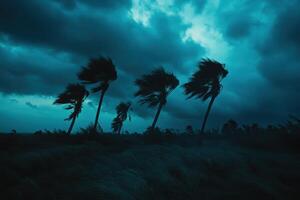 Powerful hurricane winds violently sway trees in a darkened sky photo
