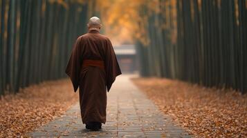 A monk walking through a tranquil bamboo forest in autumn photo
