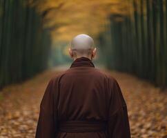 Monk walking alone on a leaf-covered path in an autumn forest photo