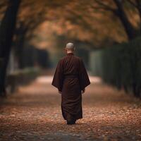 A monk walking through a serene autumn path covered in leaves photo