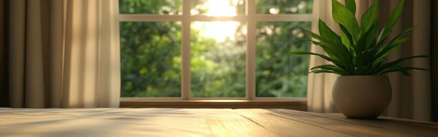 Sunlight streaming through a window illuminating a plant indoors in morning photo