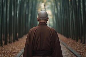 A monk walking through a serene bamboo forest on a quiet day photo