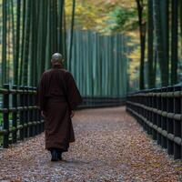 A monk walks through a serene bamboo forest path in autumn photo