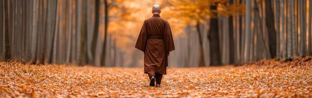 A monk walks through a serene autumn forest path surrounded by leaves photo