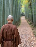 Monk walking along a serene bamboo path in autumn foliage photo