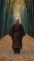 A monk walking through a serene bamboo grove during autumn photo