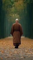 A monk walking along a serene, leaf-covered path in autumn photo