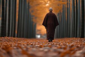 A monk walking through a serene bamboo grove during autumn photo