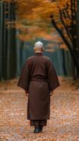 A monk walks through an autumn forest path surrounded by trees photo