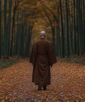 A monk walking alone on a leaf-covered path in a serene forest photo