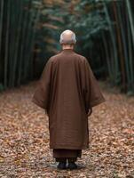 Monk walking through a tranquil bamboo forest during autumn photo