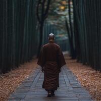 A monk walks through a tranquil bamboo forest in autumn photo