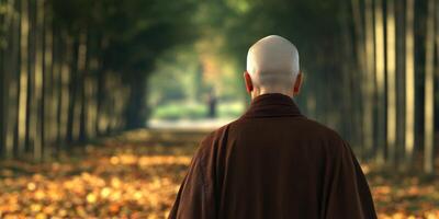 Monk walking through serene bamboo path in autumn sunlight photo