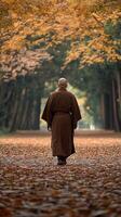 Monk walking through a serene autumn forest path during golden hour photo